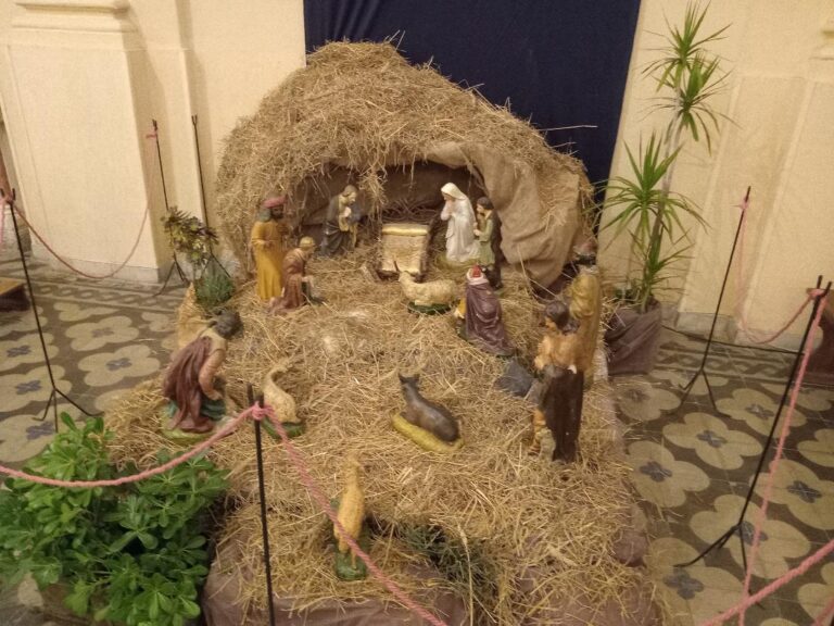 Iglesia Catedral: Misas para Navidad