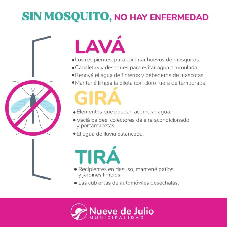 Mosquitos: prevención para las enfermedades