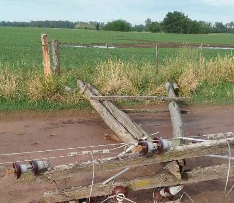 El viento causó destrozos en la zona rural