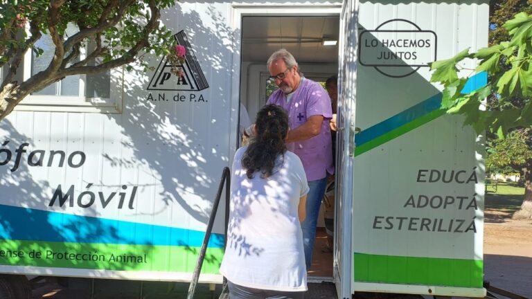 Perros y gatos: se realizaron castraciones en La Niña