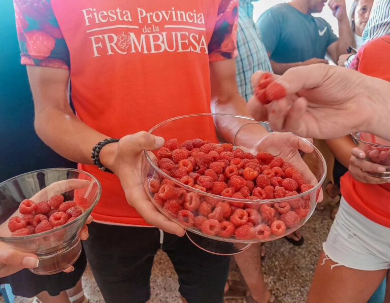 Eventos turísticos para disfrutar en la Provincia