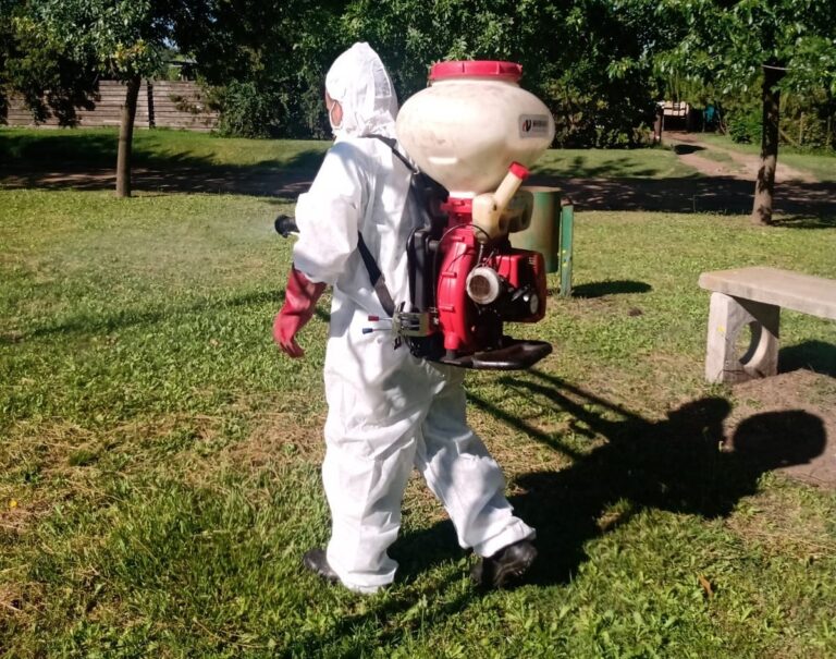 Mosquitos: fumigación en la Ciudad