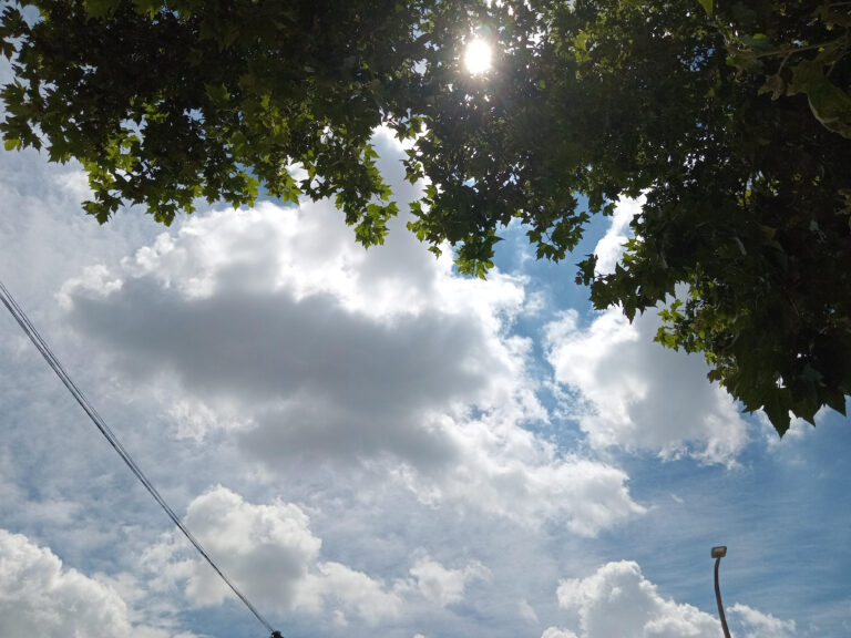 Cómo evitar el golpe de calor