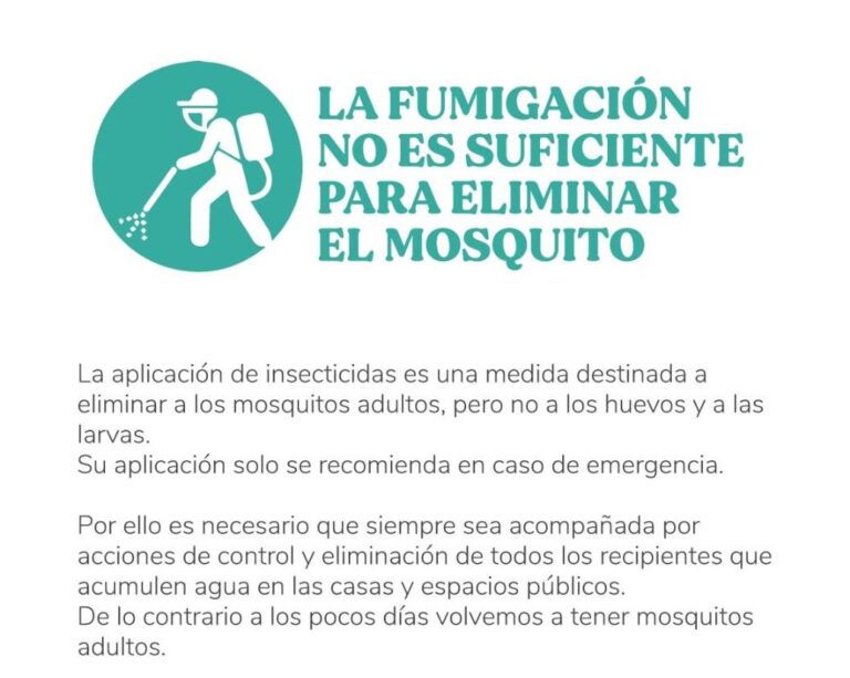 Mosquitos: prevención para evitar la proliferación