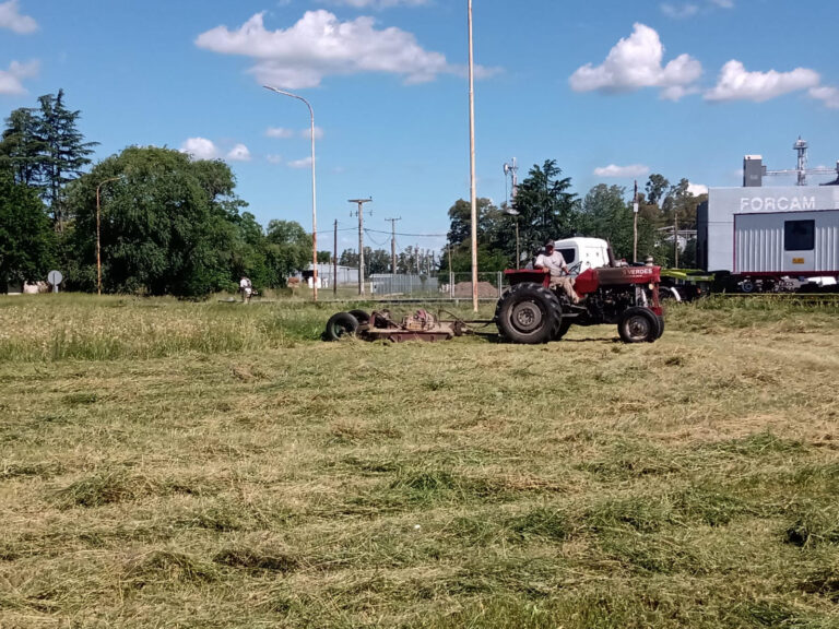 Pastos en Ruta 5: trabajos realizados por la Municipalidad