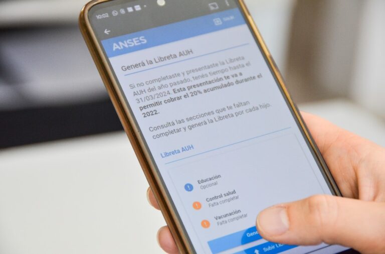 ANSES: presentación de la libreta online