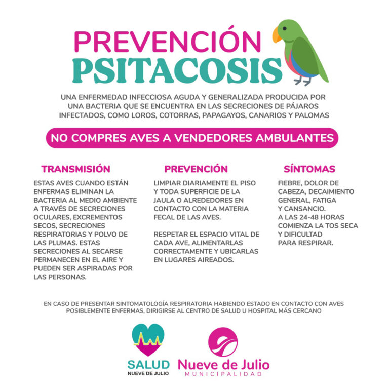 PSITACOSIS: QUÉ ES, SÍNTOMAS Y TRATAMIENTO