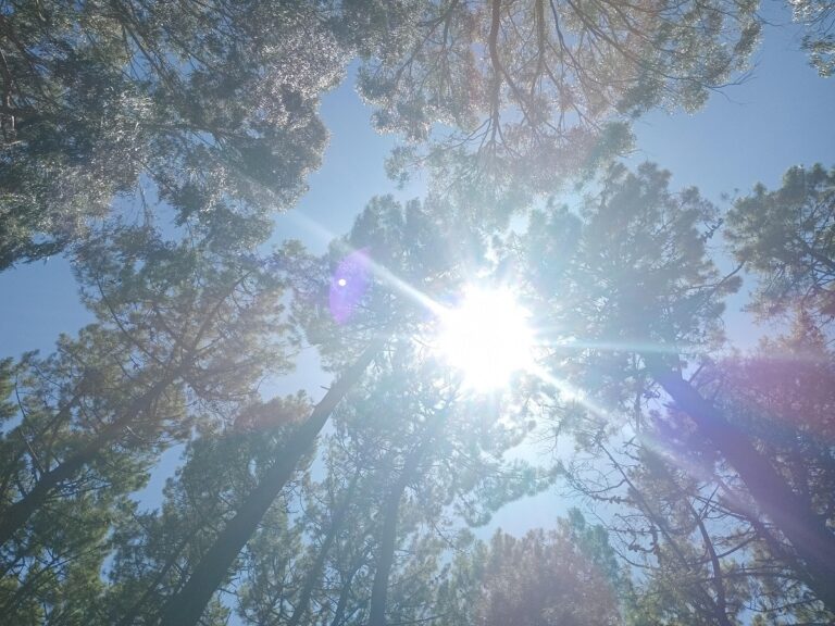 Temperaturas extremas para hoy: recomendaciones