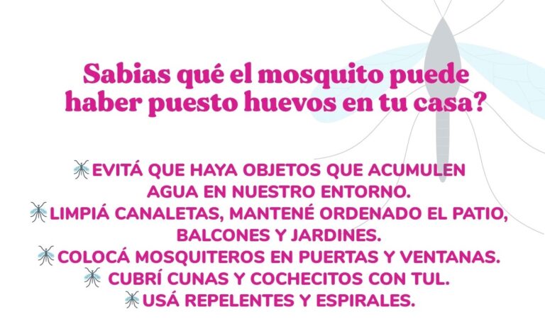 Dengue: recomendaciones para la prevención