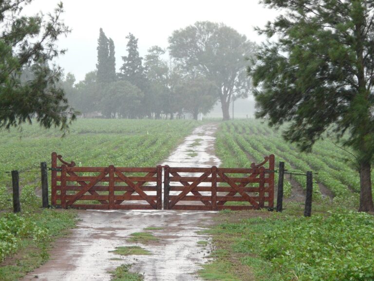 La lluvia en algunos sectores del Partido de 9 de Julio