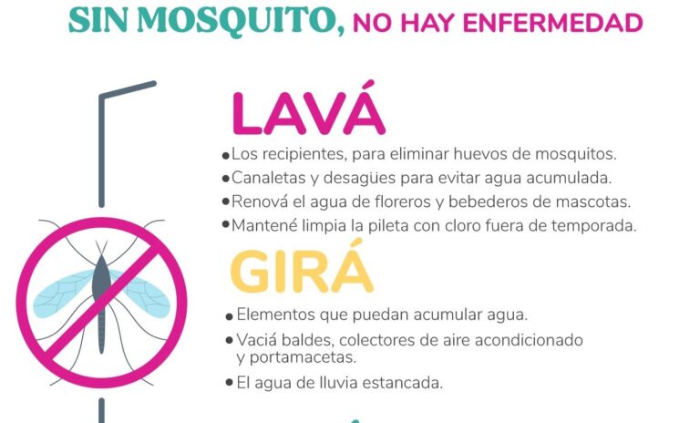 Prevención del Dengue: recomendaciones para tener en cuenta