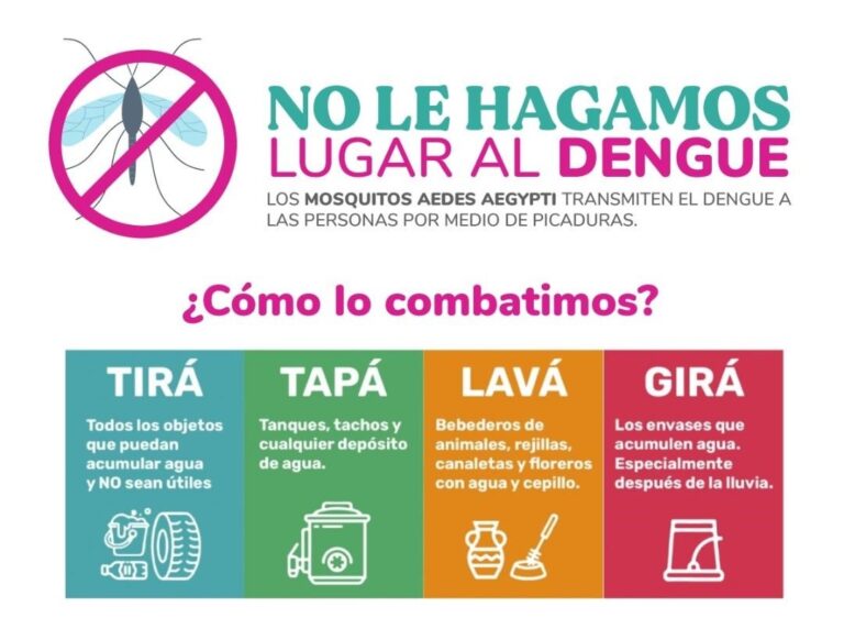 Dengue en 9 de Julio: 5 positivos y más de 20 sospechosos