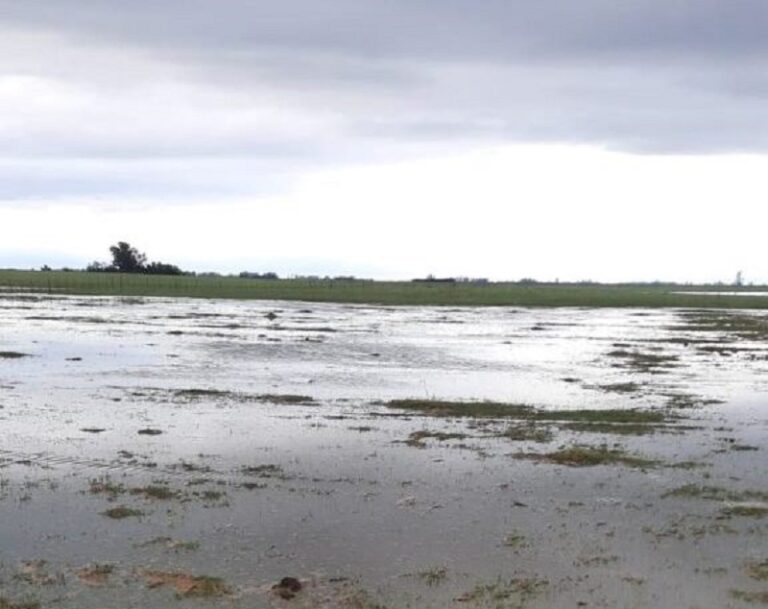 Informe del evento climático “súper celda” en zona rural