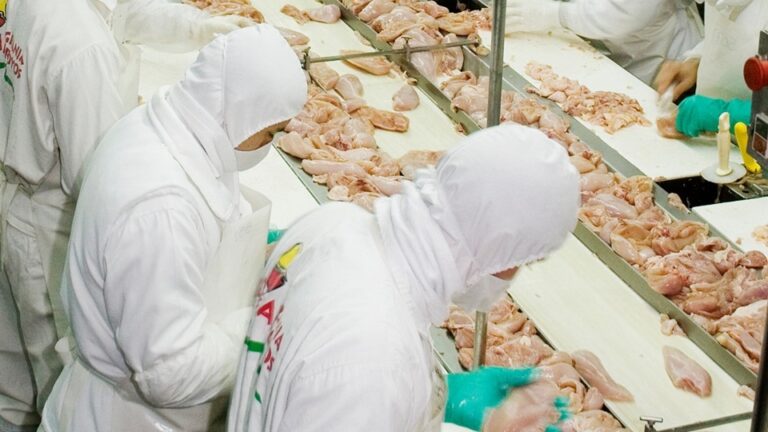Carne Aviar: Argentina abrió un nuevo mercado