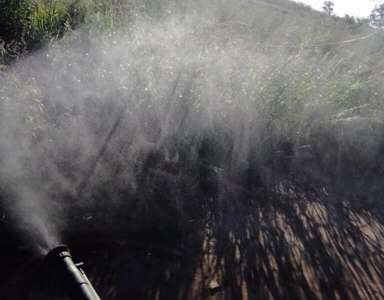 Siguen las tareas de pulverización contra mosquitos