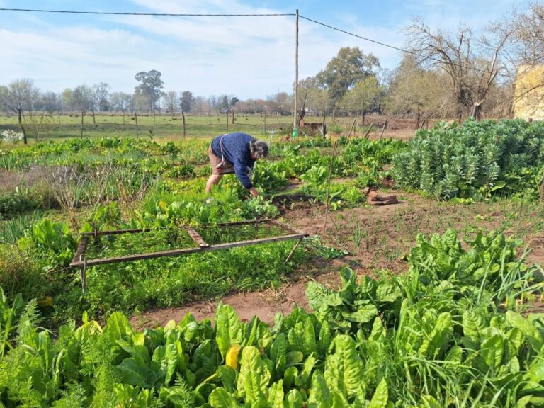 Se entregan semillas de Pro Huerta en INTA 9 de Julio