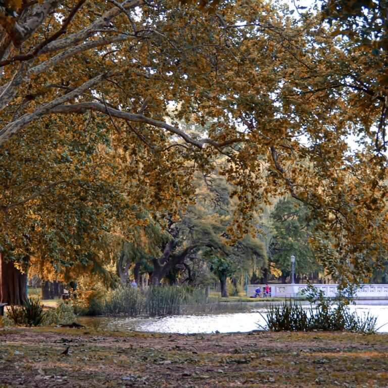 Cierre temporal del Parque San Martín