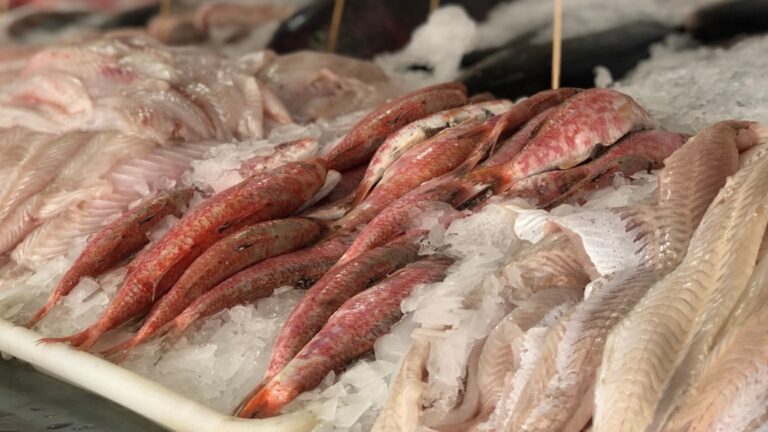Recomendaciones para el consumo de pescados en Semana Santa