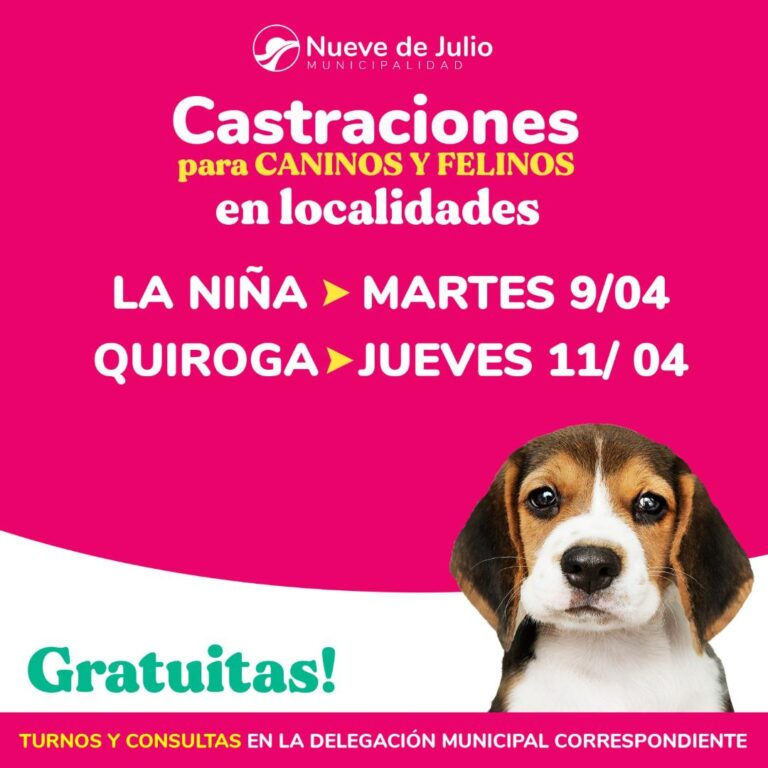 Caninos y felinos: castraciones en las localidades
