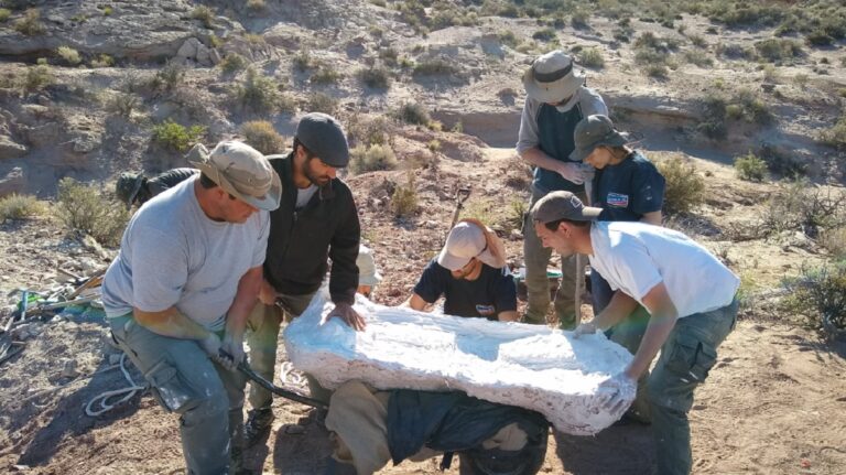 Descubren un nuevo dinosaurio de casi 100 millones de años