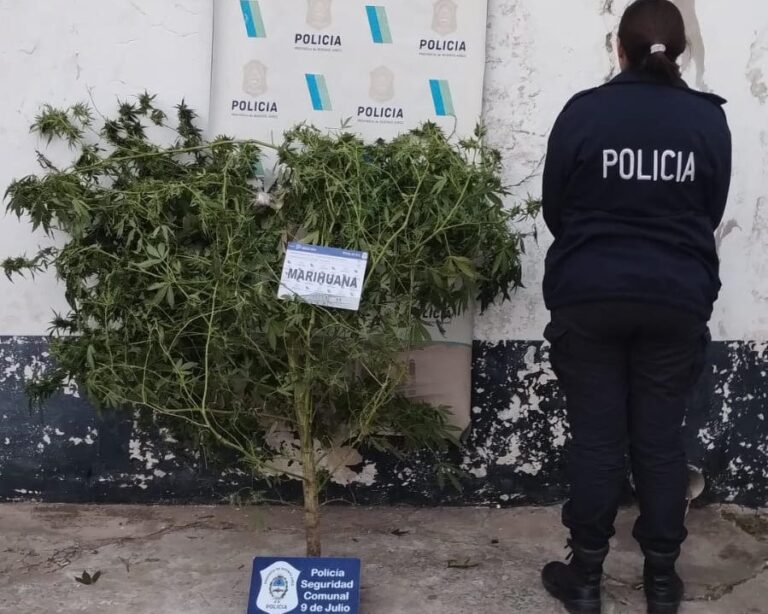 Actuaciones por Violencia de Género, Abuso Sexual y Robo