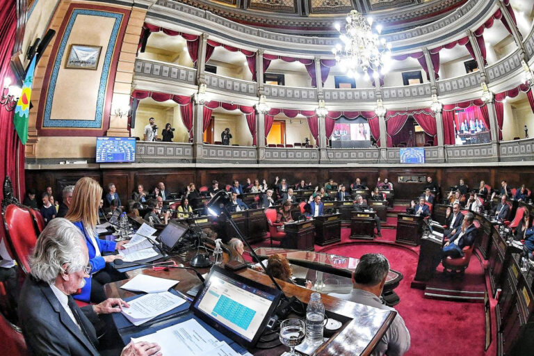 Senado Provincial: prórroga de las Emergencias para empresas recuperadas