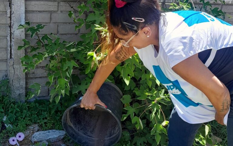 Dengue: jornadas intensivas de “desencharcado” en la Provincia
