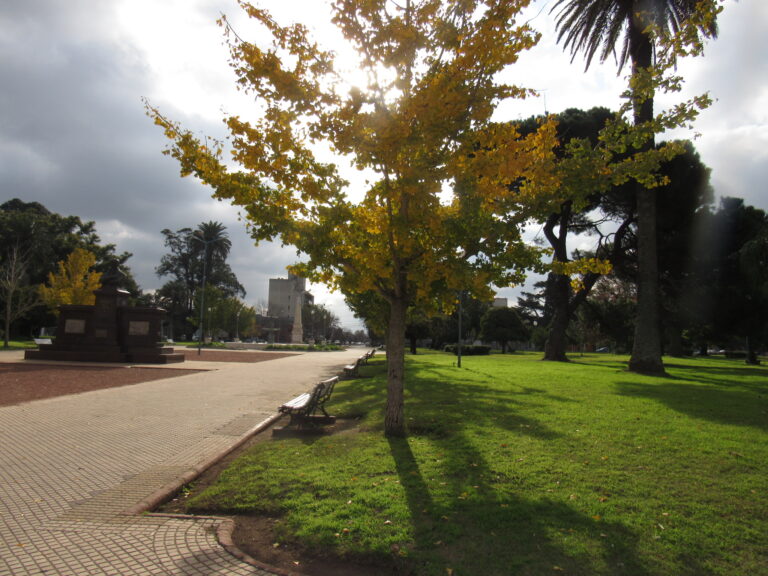 Cómo se presentará el clima durante la semana en 9 de Julio