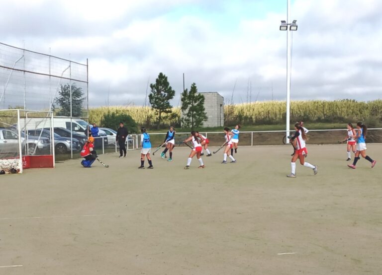 Hockey: jugaron Atlético y San Martín por la Asociación