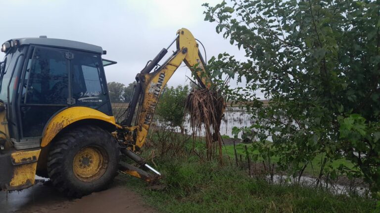 Trabajos de limpieza en canales de Morea