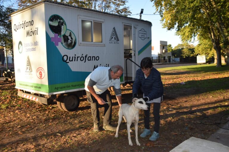 Sigue la recorrida: atención en las localidades
