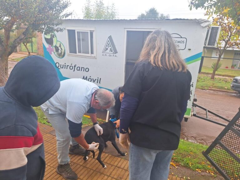 Comenzó el programa “Municipio Cercano”