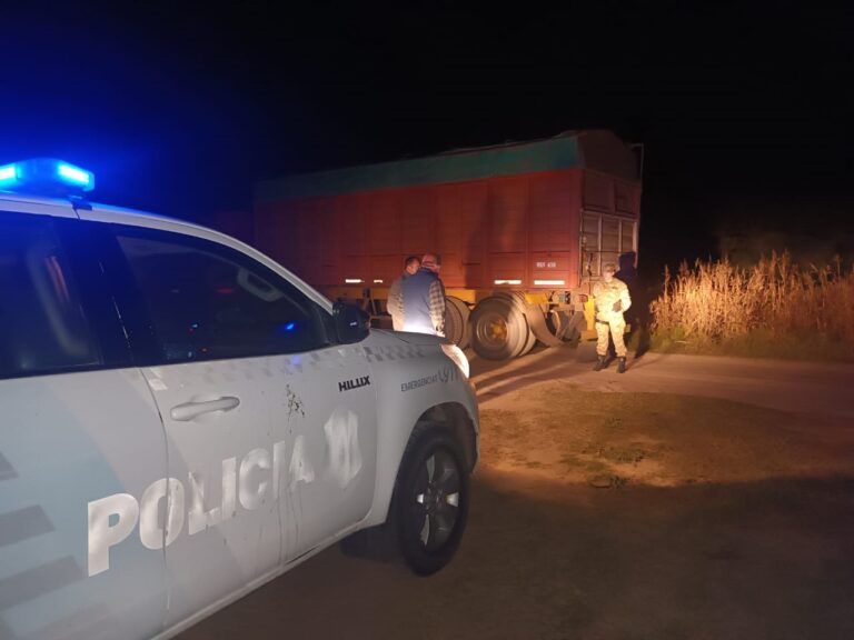 Operativos realizados por Patrulla Rural