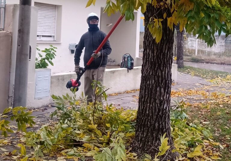 Comenzó la Campaña de Poda en la Ciudad de 9 de Julio