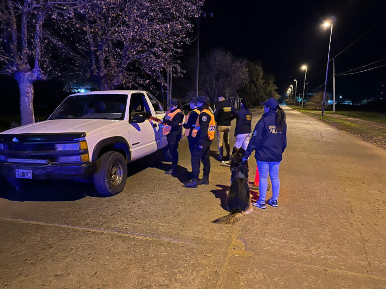 La Policía realizó detenciones por robos y abuso