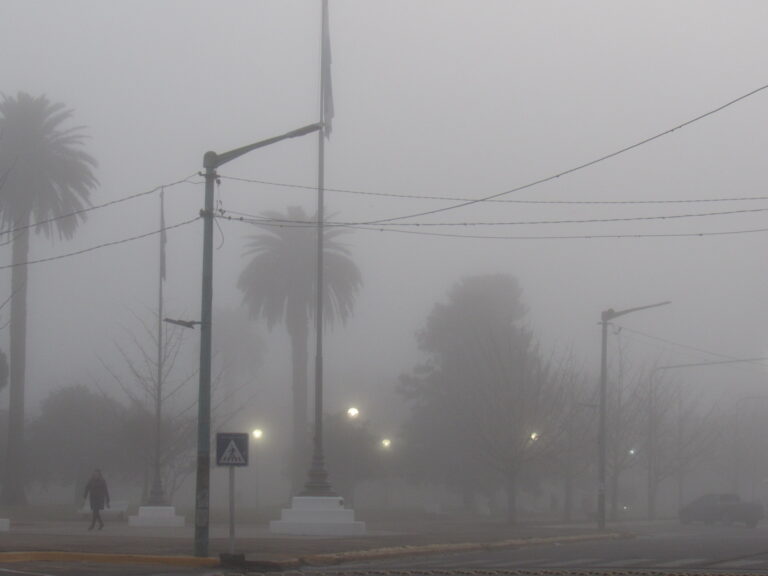 La niebla cubre 9 de Julio y la Región