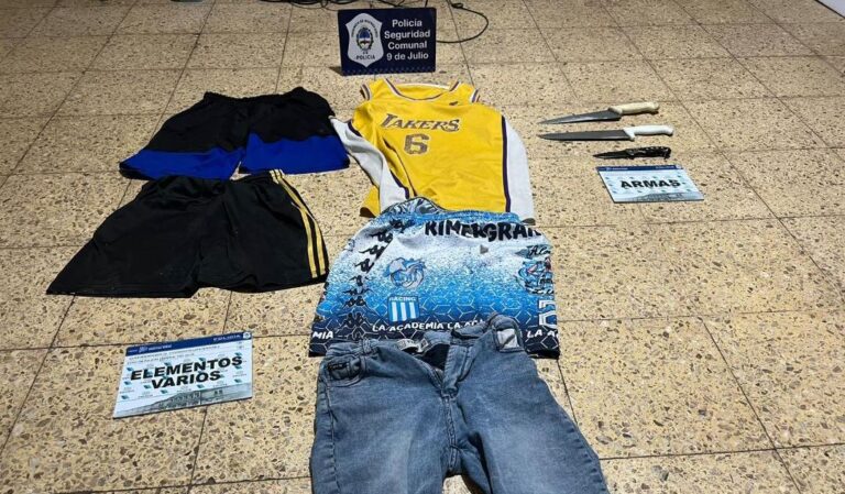 Robo, allanamientos, daños, resistencia a la autoridad