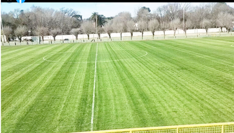 Partidos de Primera A y Ascenso de la LNF
