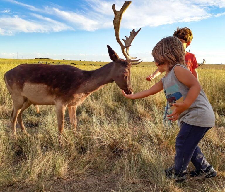 Avistaje de animales y caminatas en el Sudoeste Bonaerense