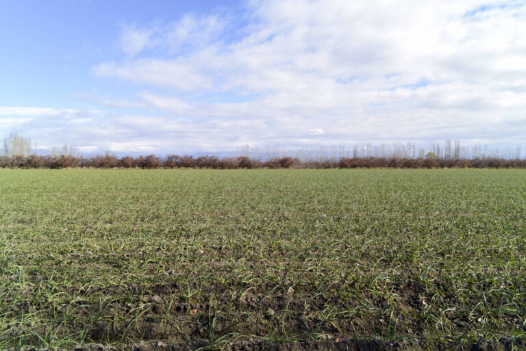 Tras los reclamos de Provincia, Nación homologó declaraciones de emergencia agropecuaria
