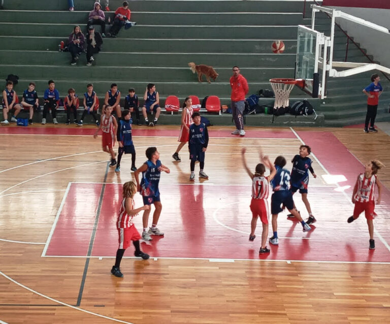 Básquet: Atlético 9 de Julio recibió a Bragado Club