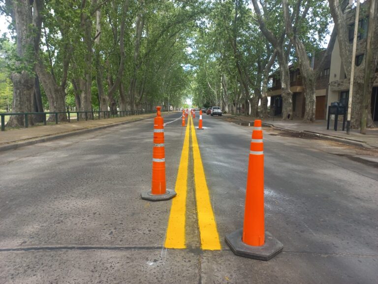 Demarcación en Avenida Tomás Cosentino