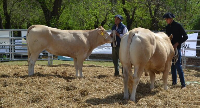 Se aguarda el inicio de la 127º Expo Rural de 9 de Julio
