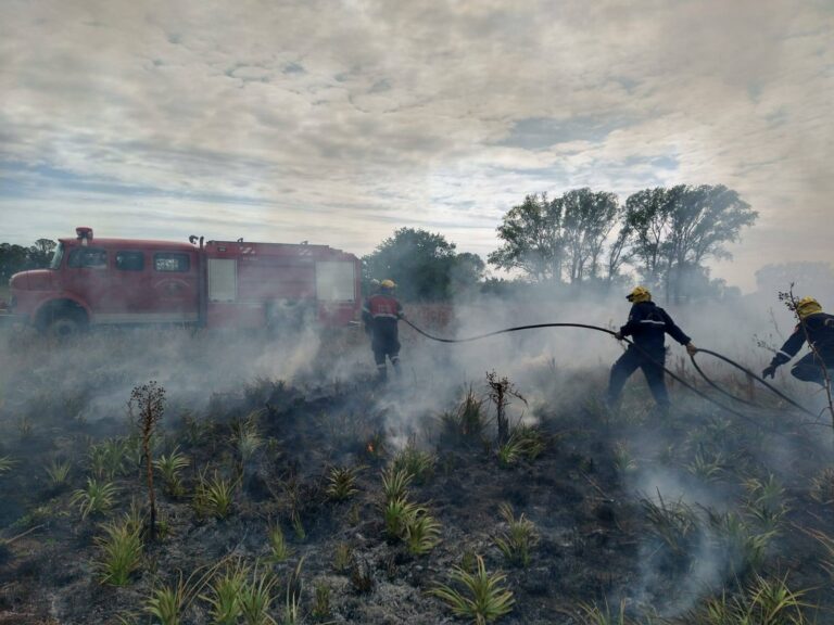 Incendio de pastos en Ruta 65