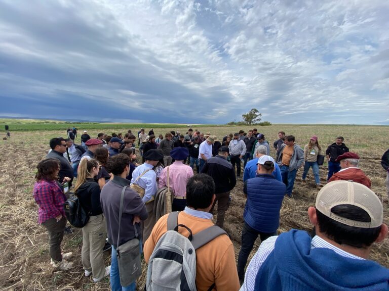 Regional Aapresid 9 de Julio – Casares invita a jornada a campo y salón