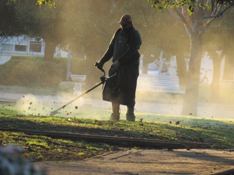 Se celebra hoy el Día del Empleado Municipal: el asueto se aplicará el lunes 11