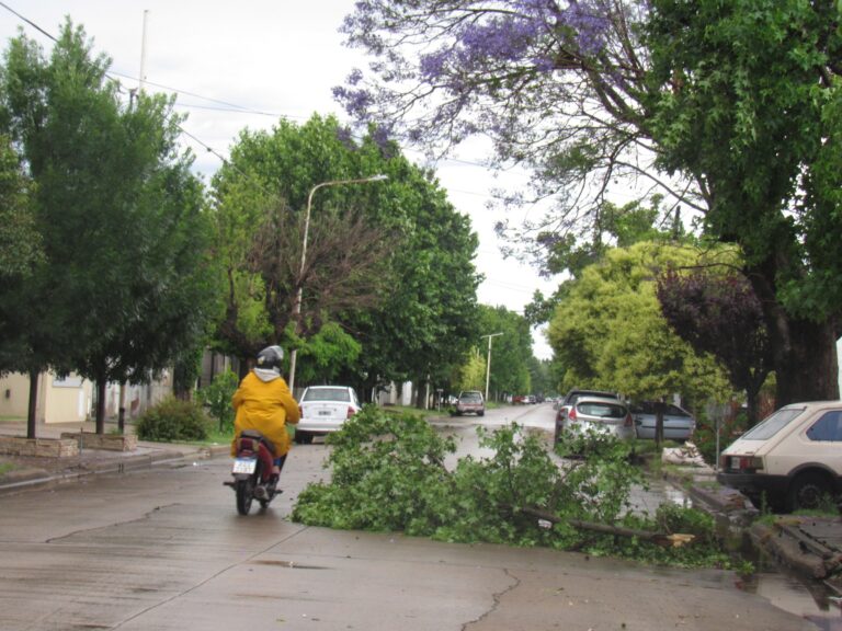 La tormenta causó inconvenientes en 9 de Julio