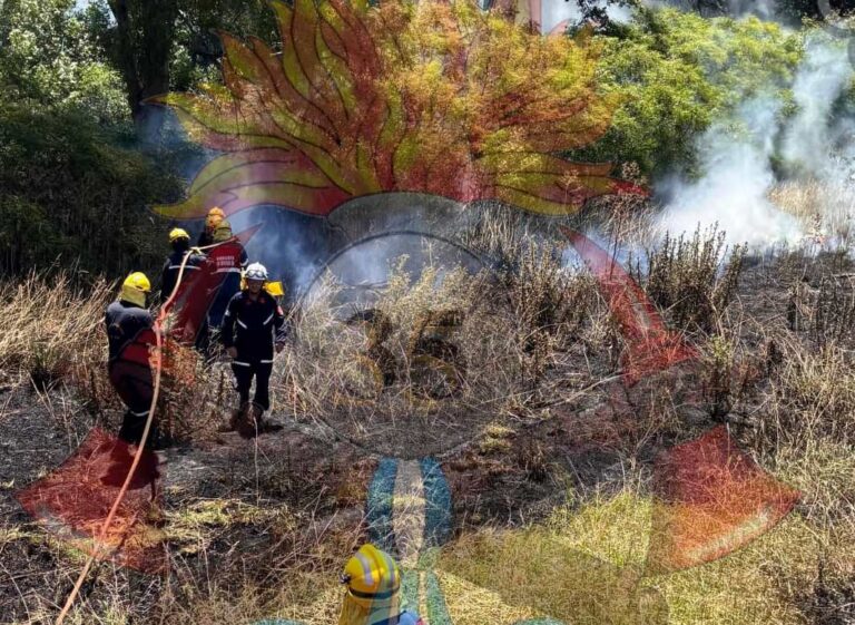 Bomberos Voluntarios intervinieron en un incendio