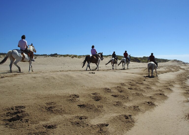 Miramar: sol, playas y un bosque encantado