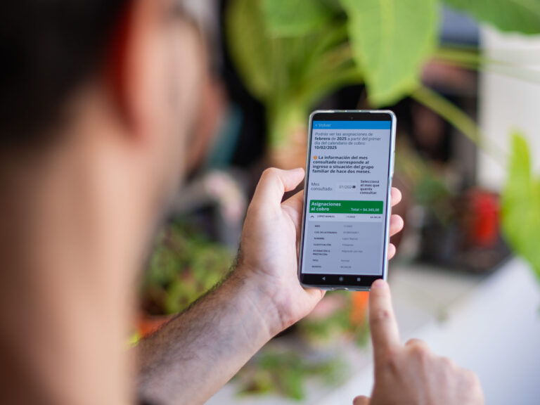 Mi ANSES: acceder a los detalles del cobro de asignaciones